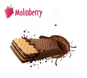 Chocolate Waffle Molinberry Concentrate | One shots 10ml