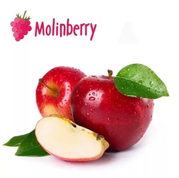 Eden Apple Molinberry Concentrate | One shots 10ml