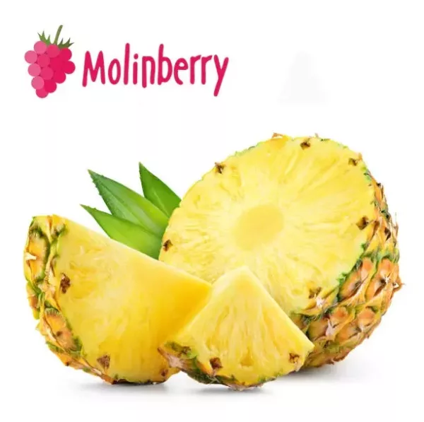 Funky Pineapple Molinberry Concentrate | One shots 10ml