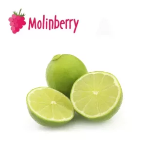 Green Lime Molinberry Concentrate | One shots 10ml