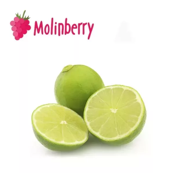 Green Lime Molinberry Concentrate | One shots 10ml