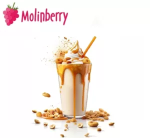 Milkshake Molinberry Concentrate | One shots 10ml