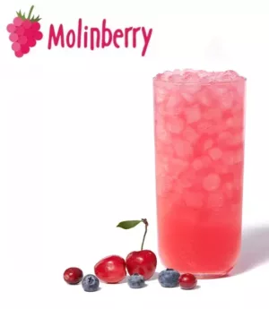 Rubin Lemonade Molinberry Concentrate | One shots 10ml