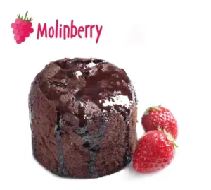 Strawberry Brownie Molinberry Concentrate | One shots 10ml